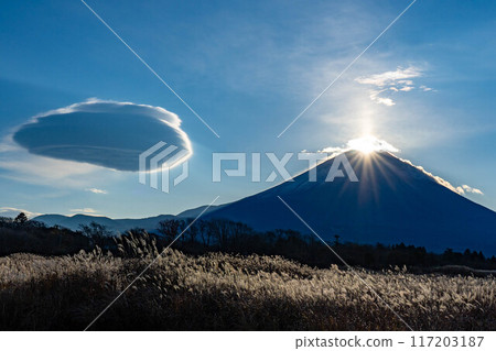 Diamond Fuji from the morning fog highland 117203187