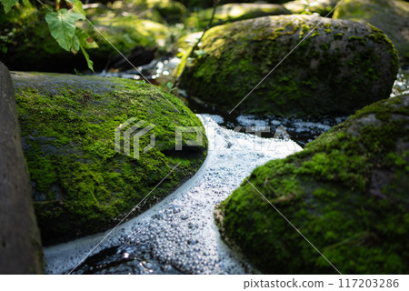water flowing into the water 117203286