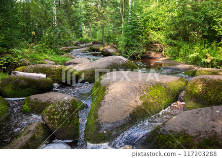 waterfall in the forest 117203288