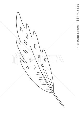 Feather sketch simple hand drawn doodle line art illustration, tribal ethnic mystic spiritual style outline drawing 117203335