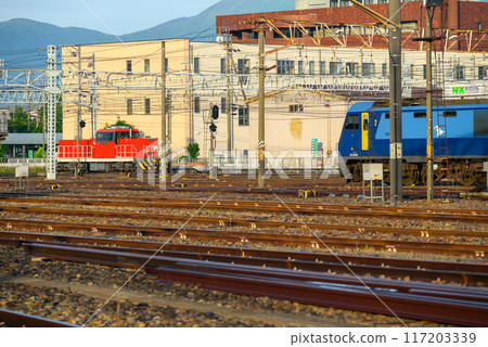 JR Freight HD300 hybrid locomotive and EH200 electric locomotive [Minami Matsumoto Station] 117203339