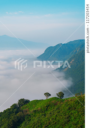 山被雲海覆蓋 117203454