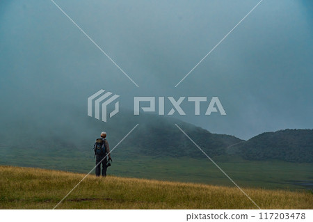 person walking in the fog 117203478