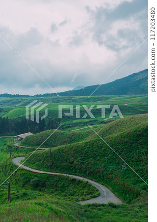 A road passing through the caldera of Mt. Aso 117203480
