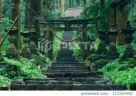 Torii gate in a sacred forest Torii gate in a sacred forest 117203482
