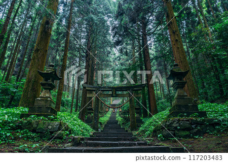 Torii gate in a sacred forest Torii gate in a sacred forest 117203483