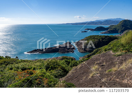 The wishes come true Cruz sea 117203570