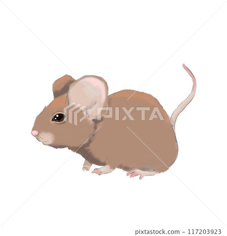 Brown field mouse, color illustration for use labels, printing, fabrics, packaging 117203923