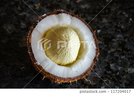 Coconut sprout in a cut coconut Coconut sprout in a cut coconut 117204017