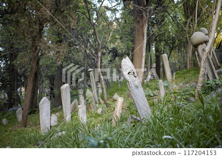 Istanbul. Graves in the cemetery in the Uskudar district Istanbul. Graves in the cemetery in the Uskudar district 117204153