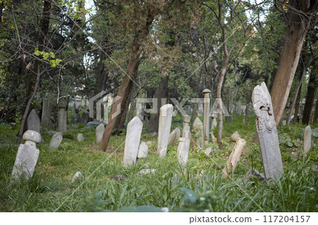Istanbul. Graves in the cemetery in the Uskudar district Istanbul. Graves in the cemetery in the Uskudar district 117204157