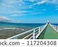 Okinawa Resort 117204308