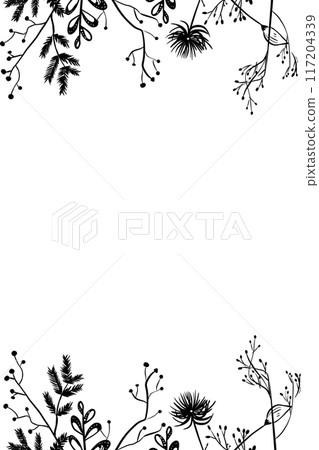 flowers, backgrounds, daisy 117204339