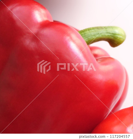 鮮辣椒粉_1:1 鮮辣椒粉_1:1 117204557