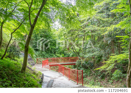 三重縣四日市市,宮津峽谷的步行道,擁有美麗的新鮮綠色,被稱為青紅葉 三重縣四日市市,宮津峽谷的步行道,擁有美麗的新鮮綠色,被稱為青紅葉 117204691