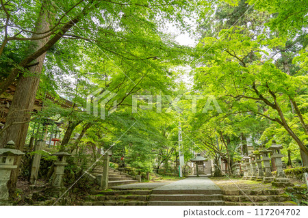 Ibigawa Town, Gifu Prefecture: Fresh greenery on the approach to Kegonji Temple on Mount Yagumi 117204702