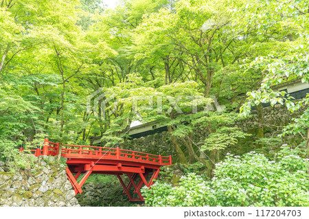 Ibigawa Town, Gifu Prefecture: The red bridge at Yokozoji Temple, the first temple of the 33 Western Mino Pilgrimage Sites, surrounded by fresh greenery Ibigawa Town, Gifu Prefecture: The red bridge at Yokozoji Temple, the first temple of the 33 Western Mino Pilgrimage Sites, surrounded by fresh greenery 117204703