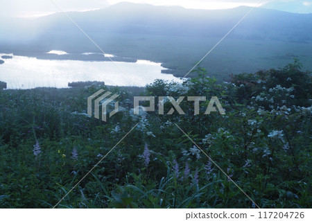 Morning view of Yashima Marsh 117204726