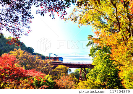 Cable car going up to Iwashimizu Hachimangu Shrine in Kyoto Prefecture and autumn leaves 117204879