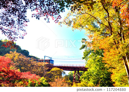 Cable car going up to Iwashimizu Hachimangu Shrine in Kyoto Prefecture and autumn leaves 117204880