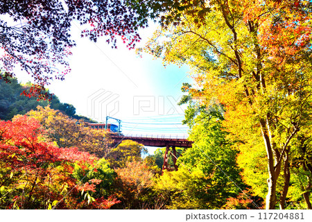 Cable car going up to Iwashimizu Hachimangu Shrine in Kyoto Prefecture and autumn leaves 117204881
