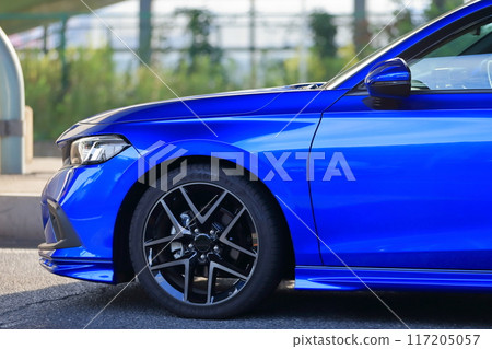 domestic sports car 117205057