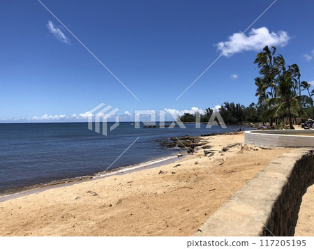 Hawaii's North Shore Beach 117205195