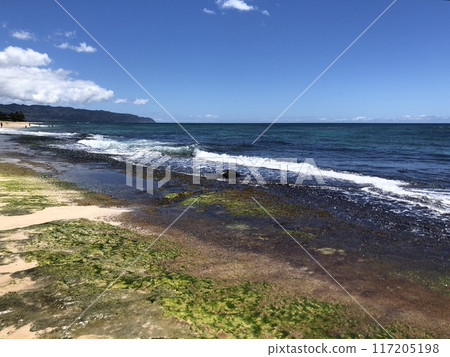 夏威夷北岸海灘 夏威夷北岸海灘 117205198