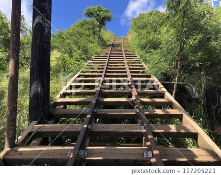夏威夷科科頭小徑路 117205221