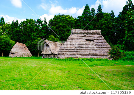 Jomon Village Pit Dwellings 117205329