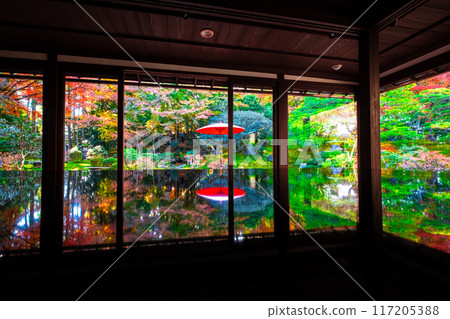 舊竹林院的秋葉與倒影 舊竹林院的秋葉與倒影 117205388