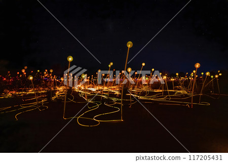 Field of Light Installation 117205431