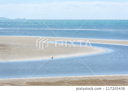 Tranquil Beach Scene Tranquil Beach Scene 117205436