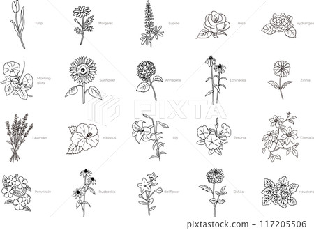 Spring and summer floral line drawing illustration set Spring and summer floral line drawing illustration set 117205506