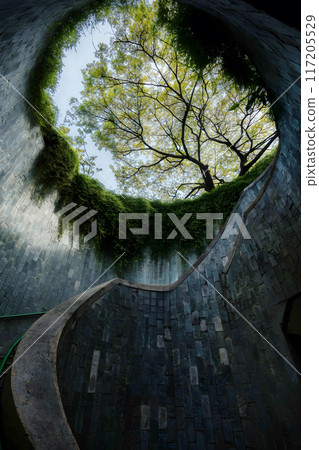 Urban Stairwell to Nature Urban Stairwell to Nature 117205529