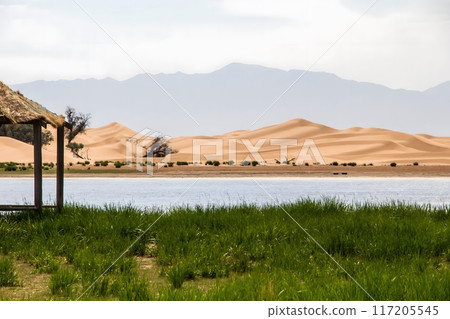 Desert Oasis Landscape 117205545
