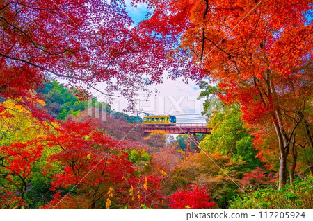岩清水八幡宮纜車及秋葉美景 岩清水八幡宮纜車及秋葉美景 117205924