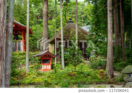 綠色神社 117206041