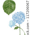 A transparent hydrangea illustration 117206067