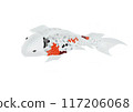 Carp with tightly colored scales 117206068
