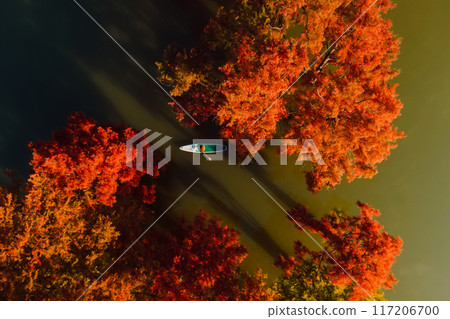 Traveller swims on stand up paddle board at lake with autumnal swamp trees. Drone top down view Traveller swims on stand up paddle board at lake with autumnal swamp trees. Drone top down view 117206700
