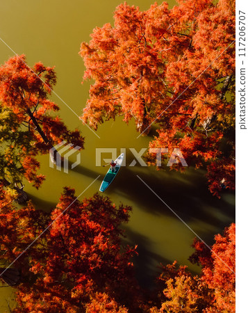 Traveller on stand up paddle board at lake among autumnal swamp trees. Top down aerial view Traveller on stand up paddle board at lake among autumnal swamp trees. Top down aerial view 117206707