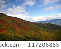 Ginsendai in Autumn 117206865