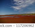 Coral grass of Lake Notori 117206962