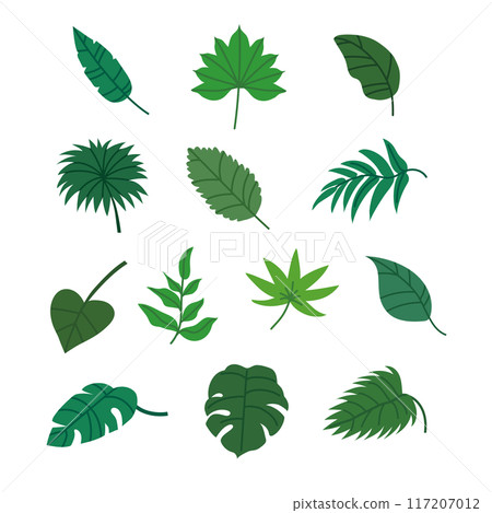 Illustration set of leaves 117207012