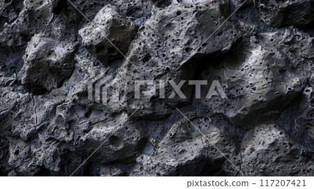 An upclose view of a rocky surface with visible holes 117207421