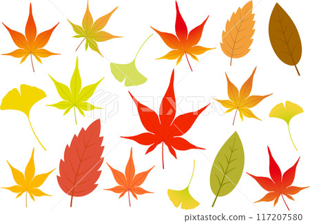 Set of autumn leaves, maple, ginkgo and leaves 1 117207580