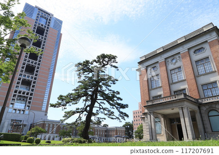 Gunma Hall, black pine (prefectural tree), and Gunma Prefectural Office 117207691