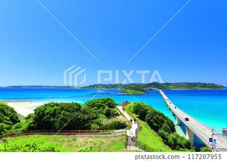 [山口縣] 角島大橋（天瀨路）的晴空 117207955