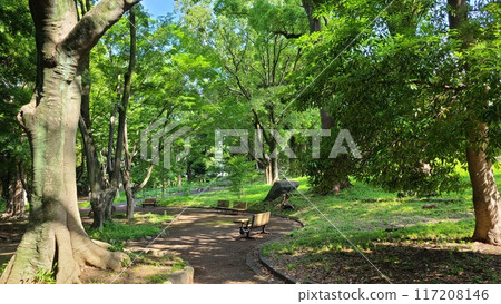 前澀澤花園 前澀澤花園 117208146